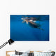 Whale Shark Isla Mujeres Light Rays Wall Decal