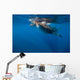 Whale Shark Isla Mujeres Light Rays Wall Decal