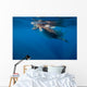 Whale Shark Isla Mujeres Light Rays Wall Decal