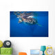 Whale Shark Isla Mujeres Wall Decal