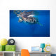 Whale Shark Isla Mujeres Wall Decal