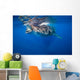 Whale Shark Isla Mujeres Wall Decal
