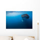 Whale Shark Isla Mujeres Distant Wall Decal