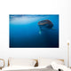 Whale Shark Isla Mujeres Distant Wall Decal
