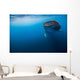 Whale Shark Isla Mujeres Distant Wall Decal