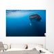 Whale Shark Isla Mujeres Distant Wall Decal