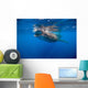 Whale Shark Isla Mujeres Left Side Wall Decal