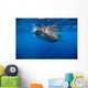 Whale Shark Isla Mujeres Left Side Wall Decal