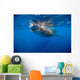 Whale Shark Isla Mujeres Left Side Wall Decal