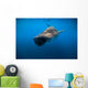 Whale Shark Isla Mujeres Diving Wall Decal