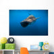Whale Shark Isla Mujeres Diving Wall Decal