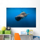 Whale Shark Isla Mujeres Diving Wall Decal