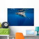 Whale Shark Isla Mujeres Breaching Wall Decal