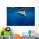 Whale Shark Isla Mujeres Breaching Wall Decal