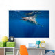 Whale Shark Isla Mujeres Breaching Wall Decal