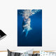Whale Shark Exhibiting Bottle Wall Decal