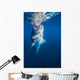 Whale Shark Exhibiting Bottle Wall Decal