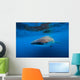 Whale Shark Isla Mujeres Left Profile Wall Decal