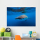 Whale Shark Isla Mujeres Left Profile Wall Decal