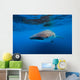 Whale Shark Isla Mujeres Left Profile Wall Decal