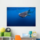 Whale Shark Isla Mujeres Open Water Wall Decal
