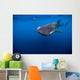 Whale Shark Isla Mujeres Open Water Wall Decal