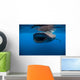 Whale Shark Isla Mujeres Wide Mouth Wall Decal