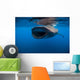 Whale Shark Isla Mujeres Wide Mouth Wall Decal