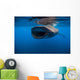 Whale Shark Isla Mujeres Wide Mouth Wall Decal