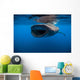 Whale Shark Isla Mujeres Wide Mouth Wall Decal