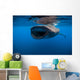 Whale Shark Isla Mujeres Wide Mouth Wall Decal