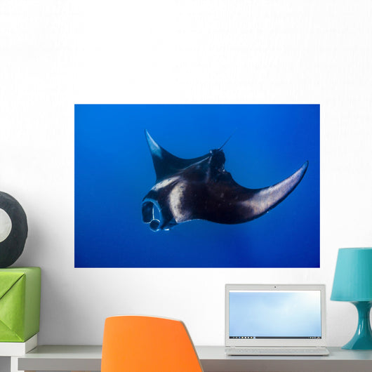 Oceanic Manta Ray Feeding Wall Decal