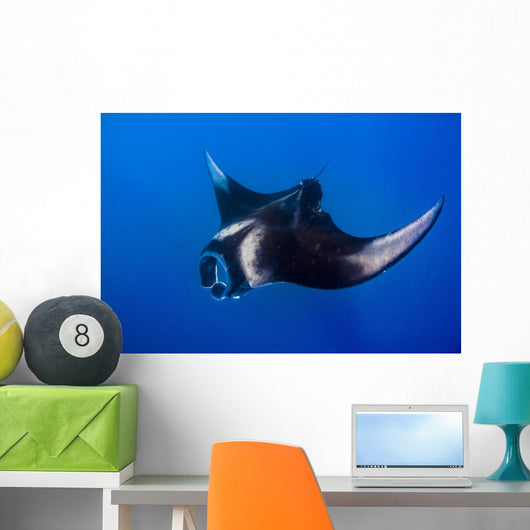 Oceanic Manta Ray Feeding Wall Decal