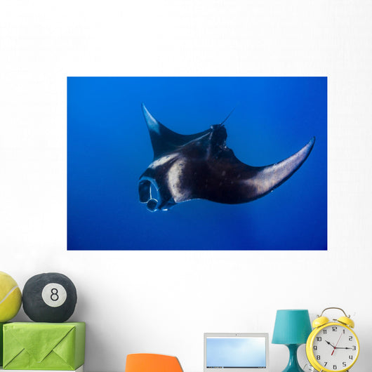 Oceanic Manta Ray Feeding Wall Decal