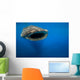 Whale Shark Isla Mujeres Approaching Wall Decal