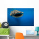 Whale Shark Isla Mujeres Approaching Wall Decal