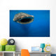 Whale Shark Isla Mujeres Approaching Wall Decal