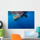 Whale Shark Isla Mujeres Surface Wall Decal