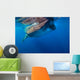 Whale Shark Isla Mujeres Surface Wall Decal