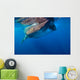 Whale Shark Isla Mujeres Surface Wall Decal