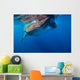 Whale Shark Isla Mujeres Surface Wall Decal