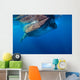 Whale Shark Isla Mujeres Surface Wall Decal