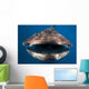 Whale Shark Isla Mujeres Open Mouth Wall Decal