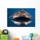 Whale Shark Isla Mujeres Open Mouth Wall Decal