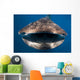 Whale Shark Isla Mujeres Open Mouth Wall Decal