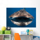 Whale Shark Isla Mujeres Open Mouth Wall Decal