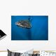 Whale Shark Isla Mujeres Front Wall Decal