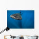 Whale Shark Isla Mujeres Front Wall Decal