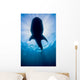 Whale Shark Isla Mujeres Silhouette Wall Decal
