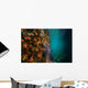 Reef Structure La Paz Wall Decal